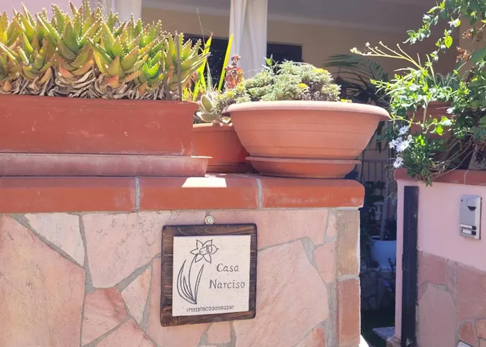 Апартаменти Casa Narciso *