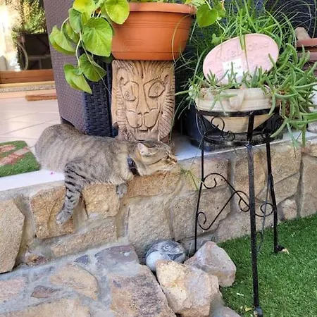 Apartmán Casa Narciso