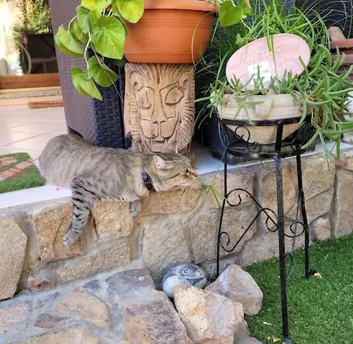 דירה Casa Narciso